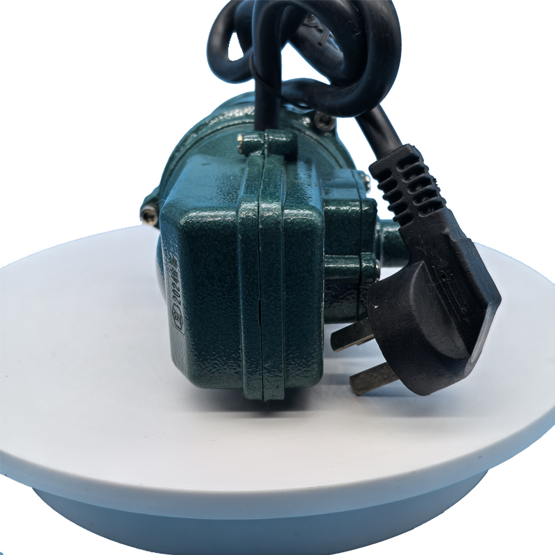 JP 220V 3KW 220V Auto Electric Engine Preheater High Quality Thermostat Auto Car Trucks SUV