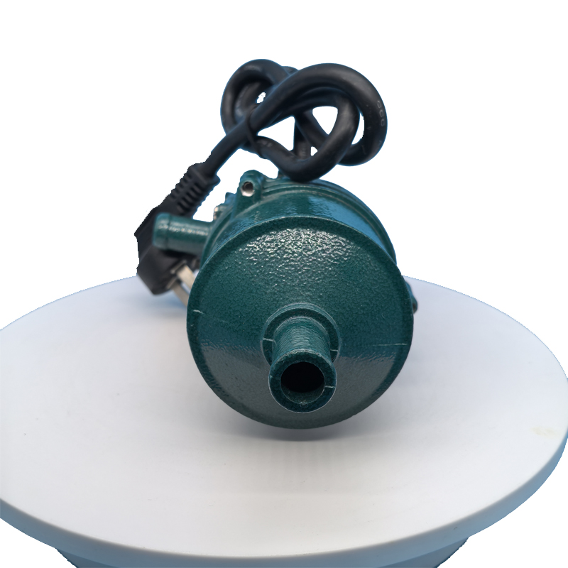 JP 220V 3KW 220V Auto Electric Engine Preheater High Quality Thermostat Auto Car Trucks SUV