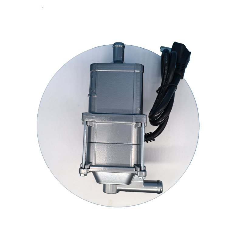 JP 220V 3000W Auto Engine Coolant Heater New Car Motor Preheater