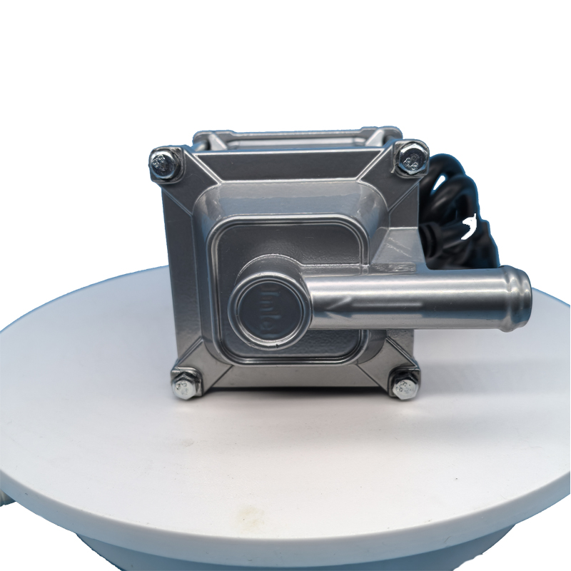 JP 220V 3000W Auto Engine Coolant Heater New Car Motor Preheater